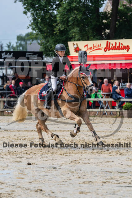 Goldene Schärpe 2021 - Ponys