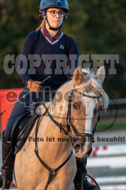 IGV Lehrgang der Sieger der Cups mit Frank Ostholt