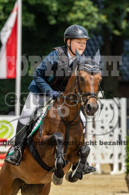 Goldene Schärpe 2021 - Ponys