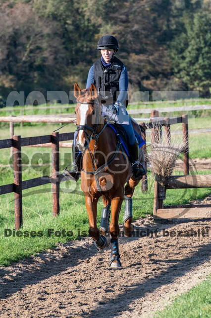 Vielseitigkeitslehrgang mit Jürg Kurbel (9.+10.11.2019)