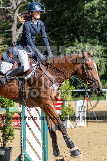 RFV Dinslaken-Hiesfeld (Herbstturnier)