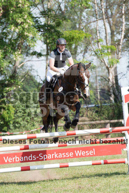 Vielseitigkeitsturnier ZRuFV von Lützow Hamminkeln