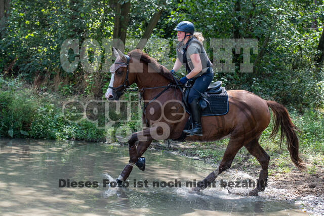 Hunter Geländetraining (16.08.2020)