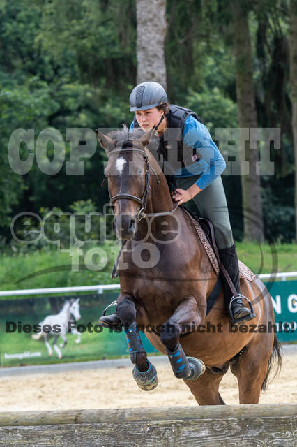 Hunter Geländetraining 10.07.2021 (Sonsbeck)