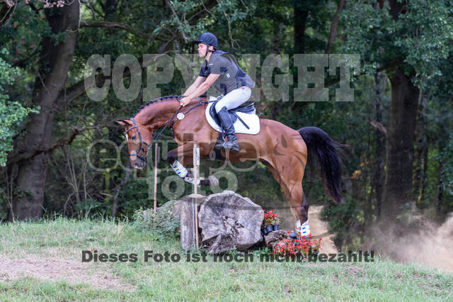 Late-Entry Vielseitigkeit Hamminkeln/Wesel (01.+02.08.2020)