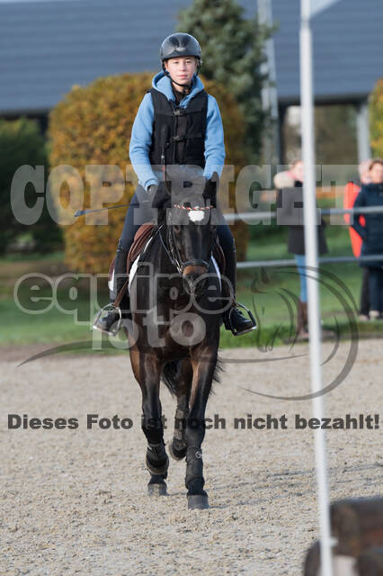 IGV Lehrgang der Sieger der Cups mit Frank Ostholt