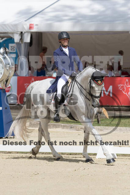 FEI European Championship Eventing 2017