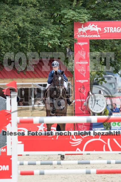FEI European Championship