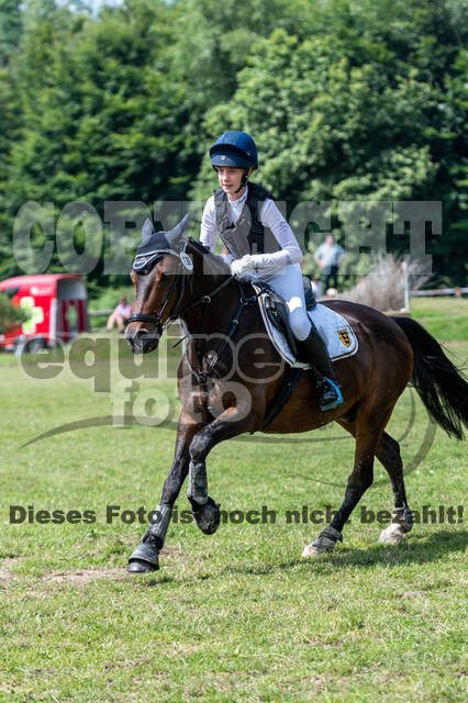 Goldene Schärpe 2021 - Ponys