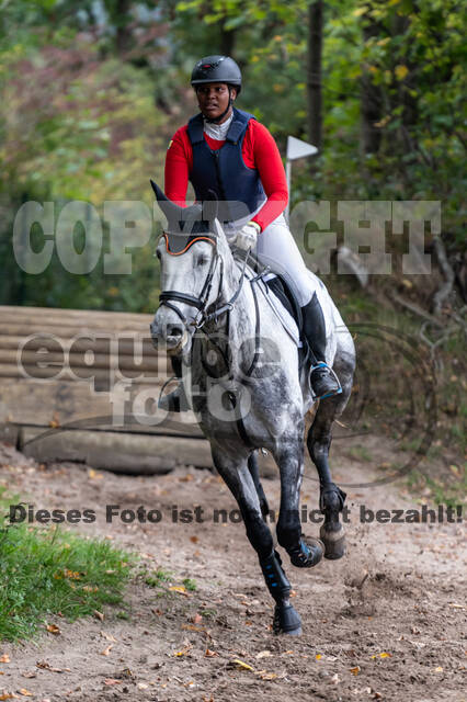 Goldene Schärpe 2020 - Pferde