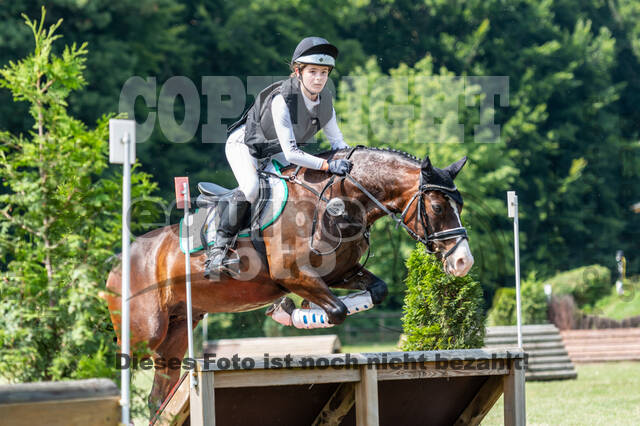 Goldene Schärpe 2021 - Ponys