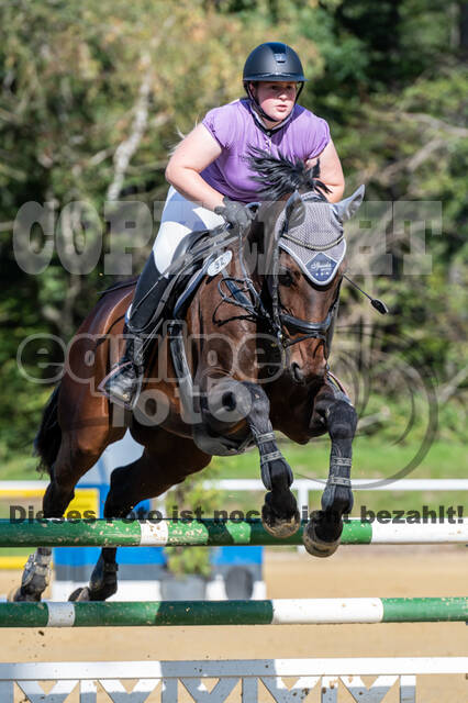 RFV Dinslaken-Hiesfeld (Herbstturnier)