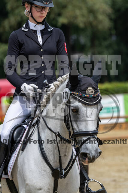 Goldene Schärpe 2021 - Ponys
