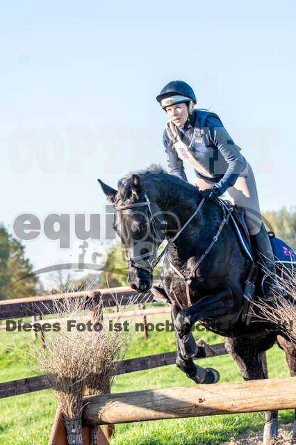 Vielseitigkeitslehrgang mit Jürg Kurbel (9.+10.11.2019)