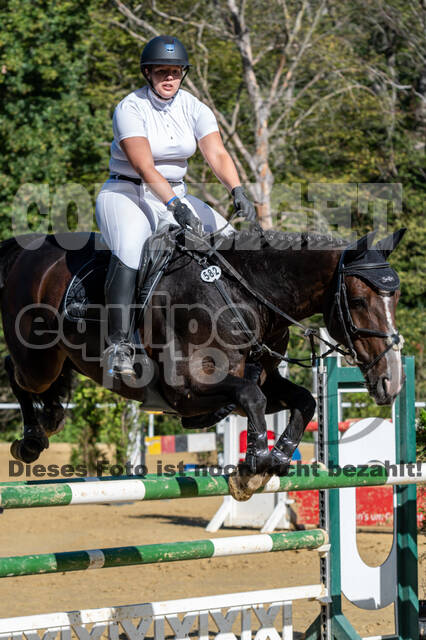 RFV Dinslaken-Hiesfeld (Herbstturnier)