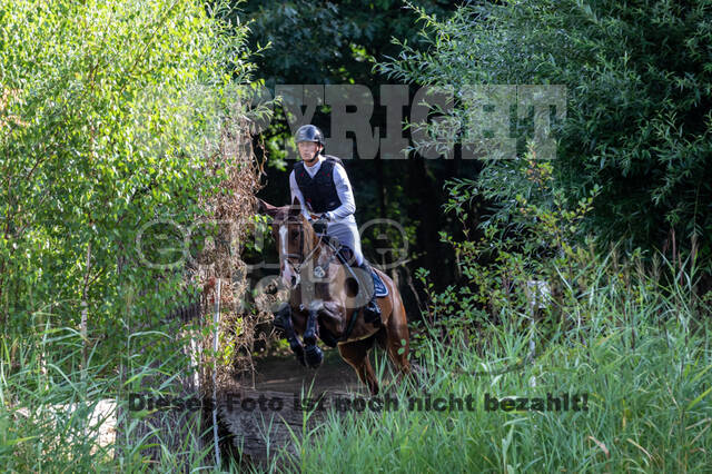 Late-Entry Vielseitigkeit Hamminkeln/Wesel (01.+02.08.2020)