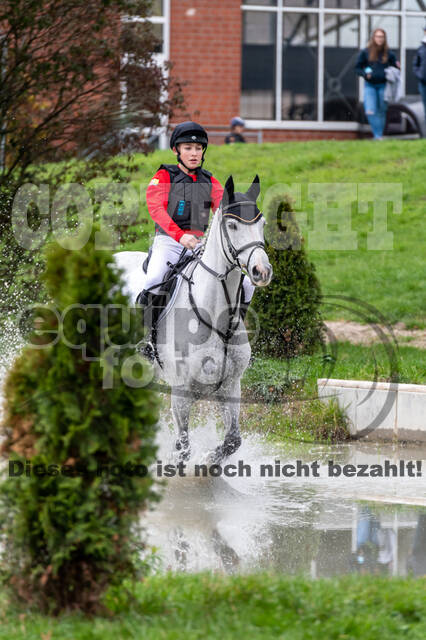 Goldene Schärpe 2020 - Pferde