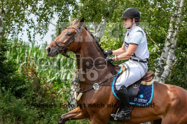 Late-Entry-Vielseitigkeit Gahlen (18.07.2020)