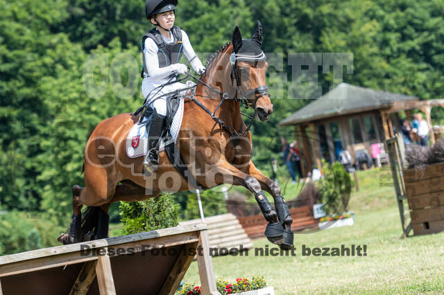 Goldene Schärpe 2021 - Ponys