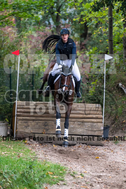 Goldene Schärpe 2020 - Pferde