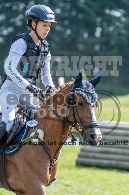 Goldene Schärpe 2021 - Ponys