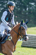 Goldene Schärpe 2021 - Ponys