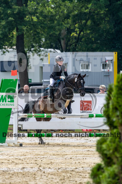 Goldene Schärpe 2021 - Ponys