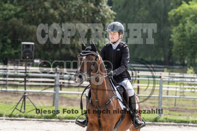 Late-Entry-Vielseitigkeit Langenfeld (06.+07.07.2020)