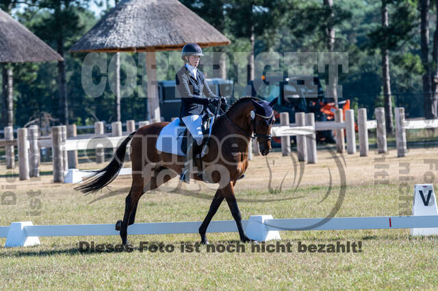 Kronenberg - De Peelbergen (August 2020)