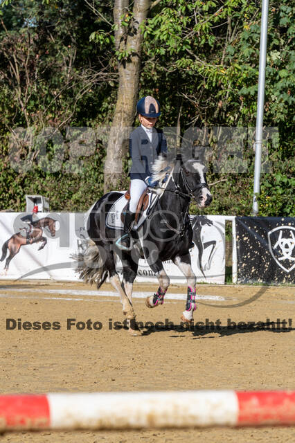 RFV Dinslaken-Hiesfeld (Herbstturnier)