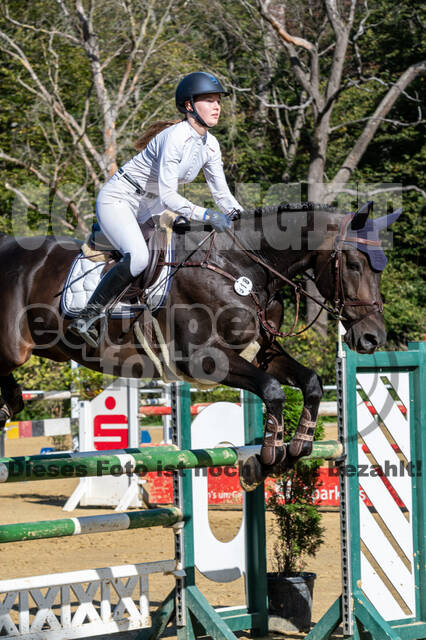 RFV Dinslaken-Hiesfeld (Herbstturnier)
