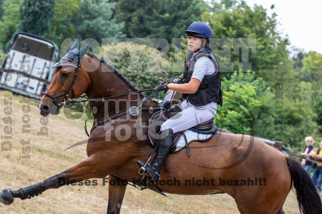 Late-Entry Vielseitigkeit Hamminkeln/Wesel (01.+02.08.2020)