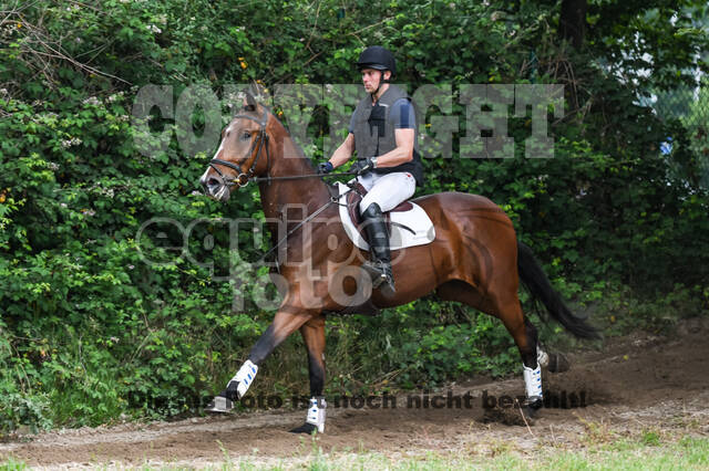 Late-Entry-Vielseitigkeit Langenfeld (11.+13./14.06.2020)