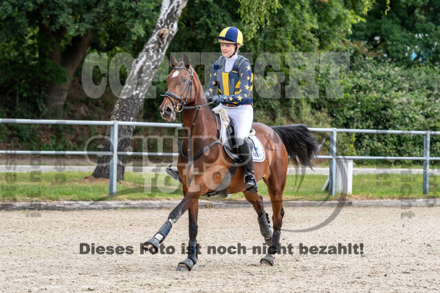 Late-Entry-Vielseitigkeit Langenfeld (11.+13./14.06.2020)