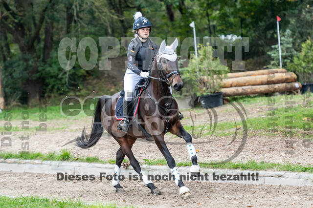 Goldene Schärpe 2020 - Pferde