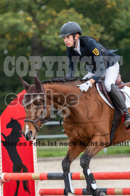 Goldene Schärpe 2020 - Pferde