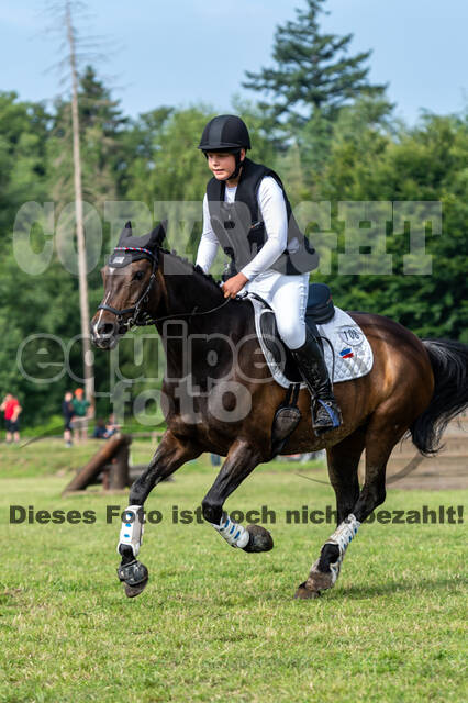 Goldene Schärpe 2021 - Ponys