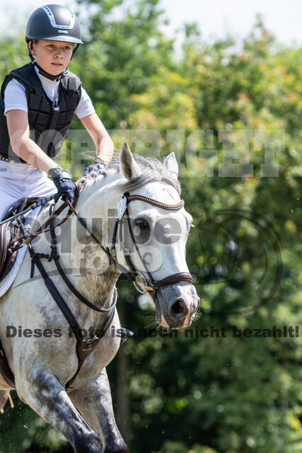 Goldene Schärpe 2021 - Ponys