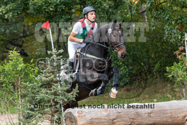 Goldene Schärpe 2020 - Pferde