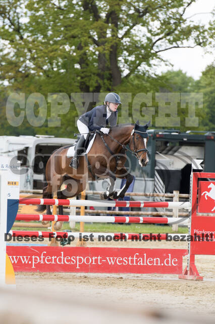 Sterne über Münster 2019 - CCI***S