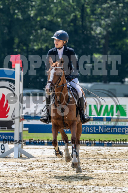 Goldene Schärpe 2021 - Ponys