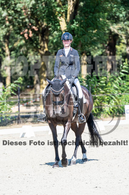 Kronenberg - De Peelbergen (August 2020)