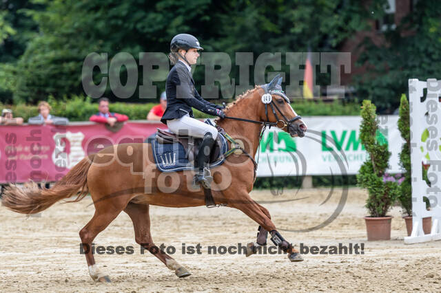 Goldene Schärpe 2021 - Ponys