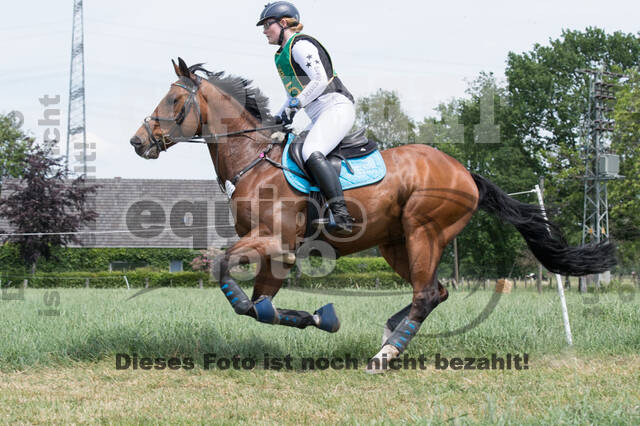 Vielseitigkeitsturnier ZRuFV von Lützow Hamminkeln