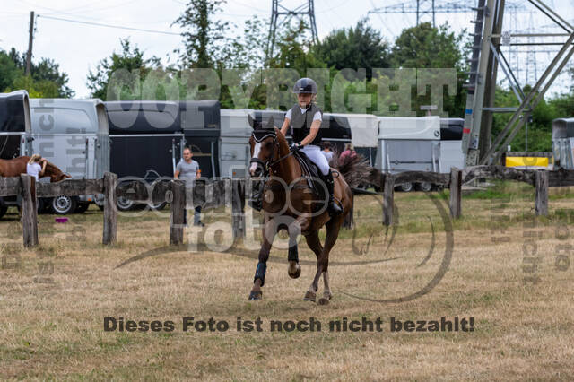 Late-Entry Vielseitigkeit Hamminkeln/Wesel (01.+02.08.2020)