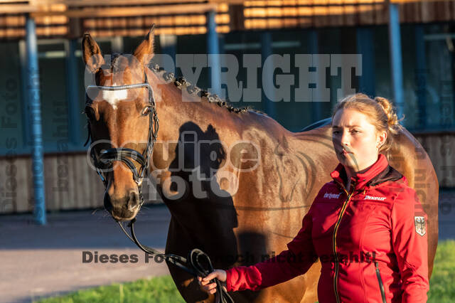 Deutsche Meisterschaft Vielseitigkeit (Luhmühlen)