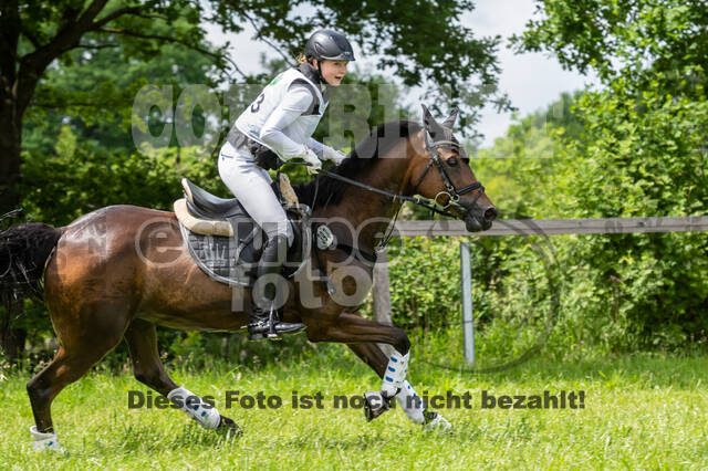 Westerstede Horse Trials 2021
