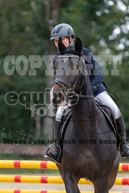 Vielseitigkeit RSV Wesel Obrighoven (26.+27.09.2020)