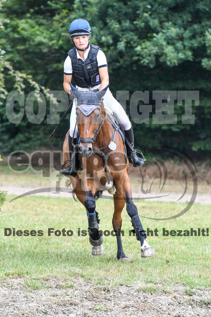 Late-Entry-Vielseitigkeit Langenfeld (11.+13./14.06.2020)