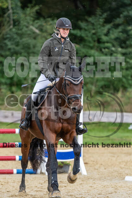 Vielseitigkeit RSV Wesel Obrighoven (26.+27.09.2020)